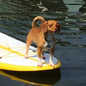 Meet your Posher, Cathy